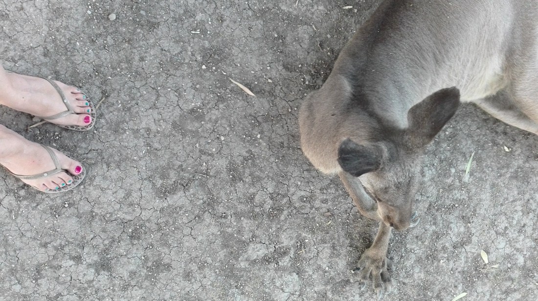 IMG_20170823_185752 (1)